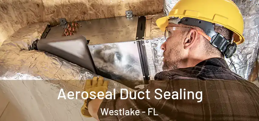 Aeroseal Duct Sealing Westlake - FL