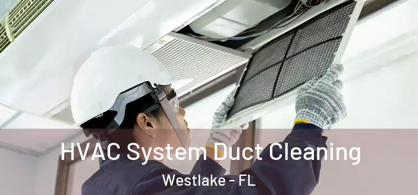 HVAC System Duct Cleaning Westlake - FL